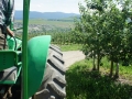Davison Orchards Traktor-Zug