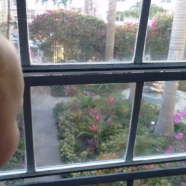 Das gesegnete Kompottgesicht