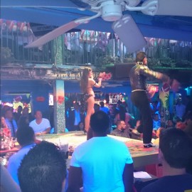 Schüttelshake im Mango’s Tropical Cafe