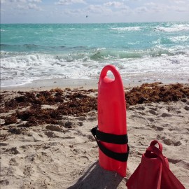 Neues vom Strand Neues vom Strand