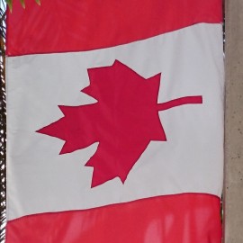 Fazit Miami & Vorbereitungen Vancouver Fazit Miami & Vorbereitungen Vancouver