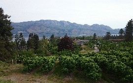 Nahrungskunde: lokal essen Nahrungskunde: lokal essen